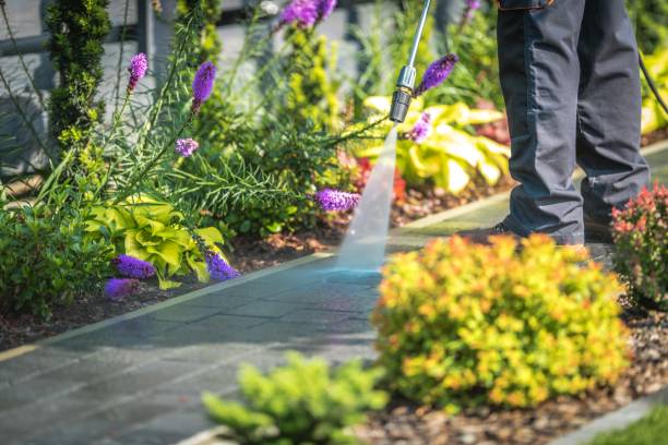 Best Restaurant Pressure Washing  in Belford, NJ