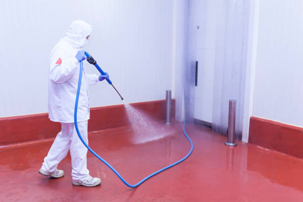 Best Pool Deck Cleaning  in Belford, NJ